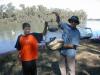 murray river fish