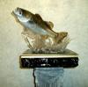Water works fish
