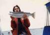 steelie fish