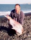 Big Snapper fish