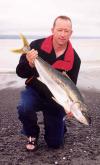 Cool Kingfish
