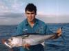 Northern Bluefin fish