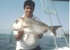 Lured Snapper!! fish